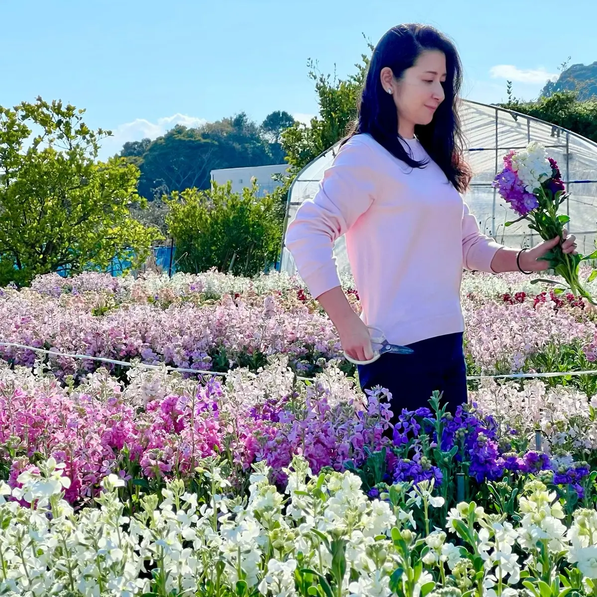 春のお出かけ♪南房総へ花摘みに行ったら最の画像_16