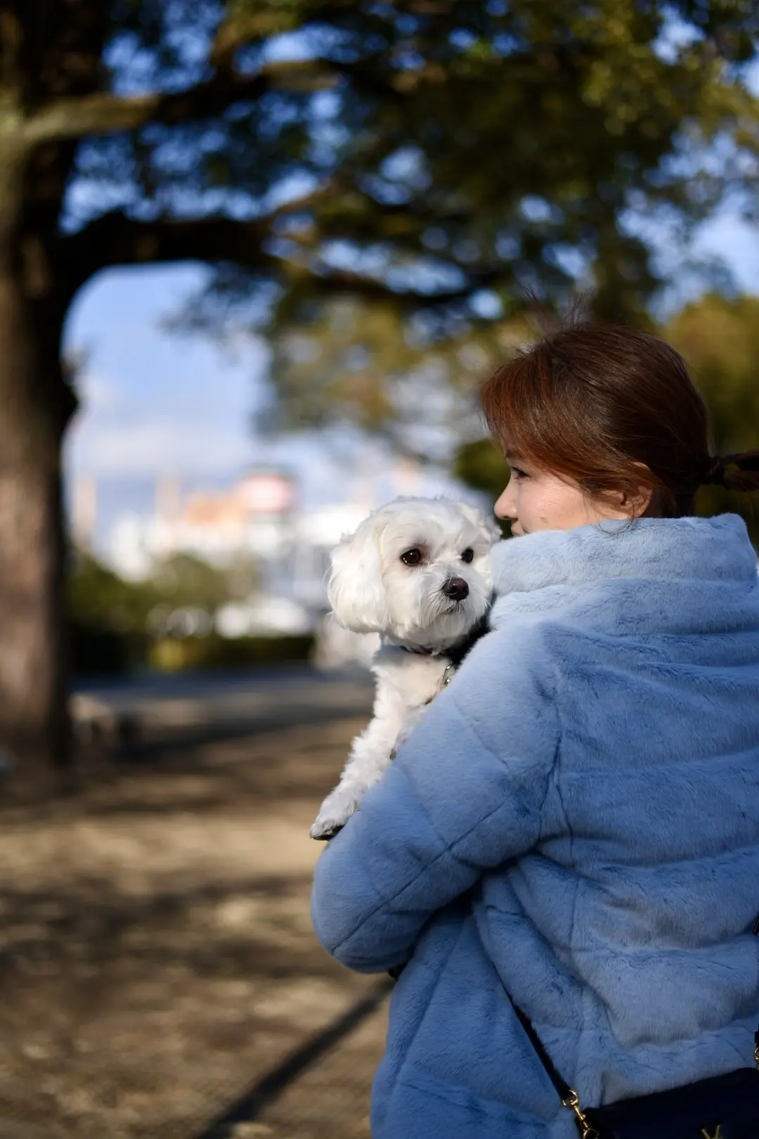 新春はエコファーダウンで横浜山下公園への画像_17