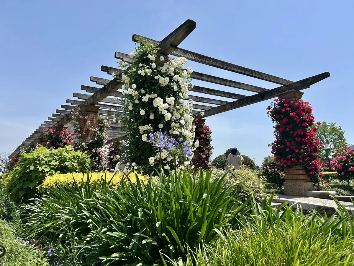 シアーシャツとワイドパンツで山下公園へ♪の画像_9