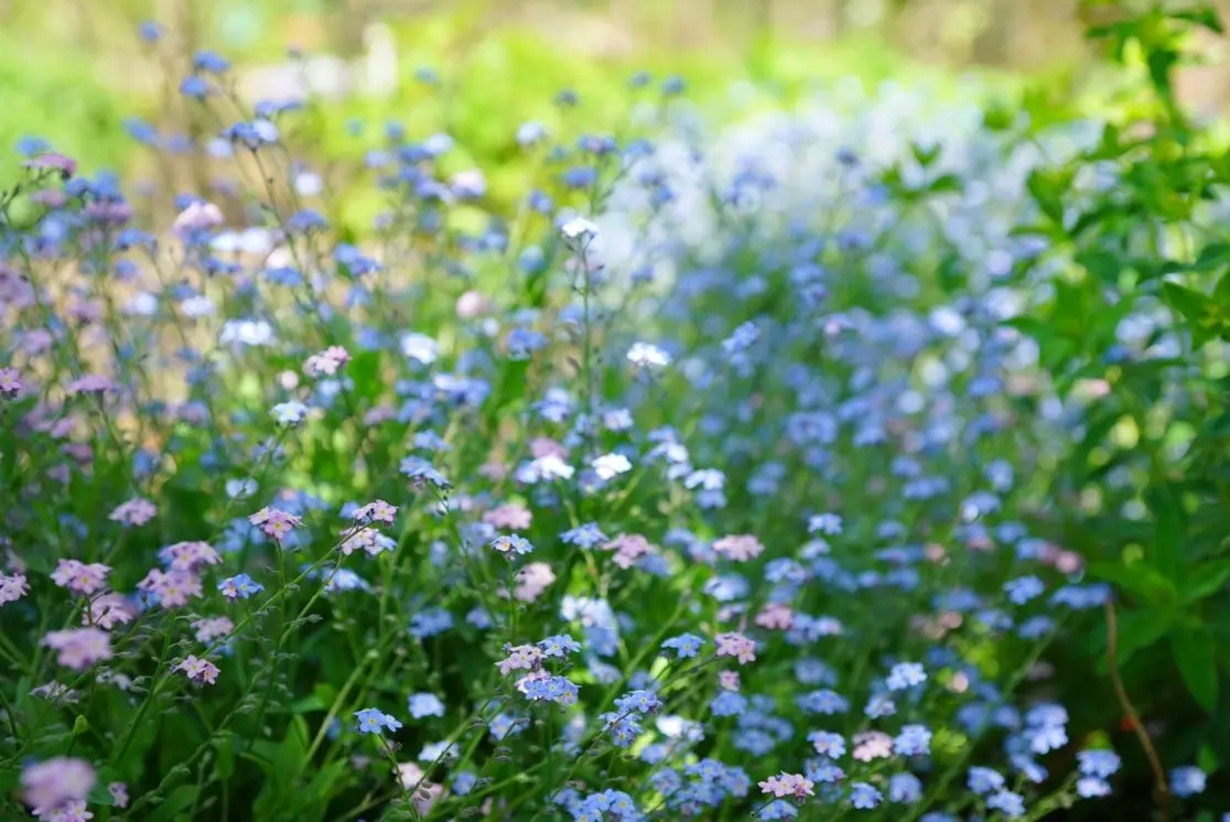 お気に入りトップスにGU白デニムで熊山英の画像_8
