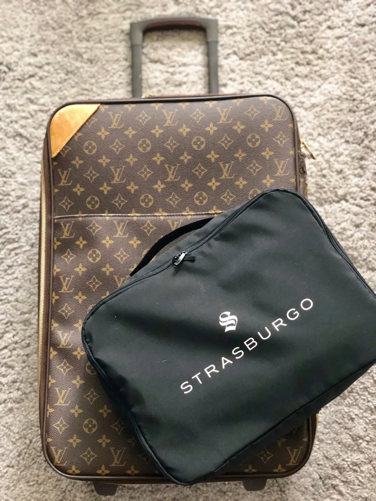 10月号付録、万能ガーメントケースの画像_1