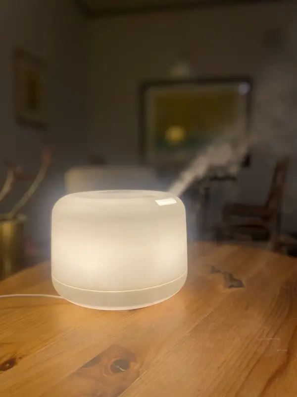 OurAge×Webエクラ　電動式デフューザー