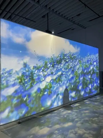 芸術鑑賞Dayで癒されるの画像_9