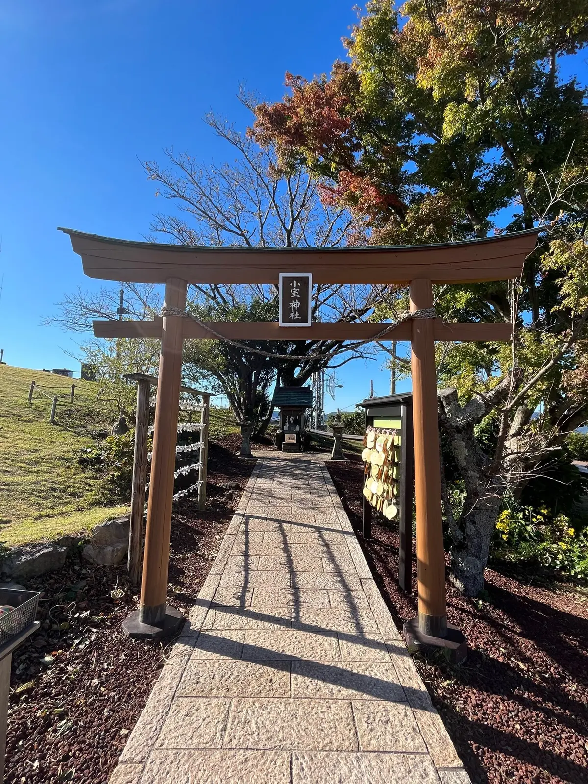 小室神社　伊東温泉　サフィール　踊り子　東海館　女子旅　温泉旅行　エクラ　jマダム　竹あかり　松川通り　ラフォーレ倶楽部伊東温泉　小室山　カフェ321 
