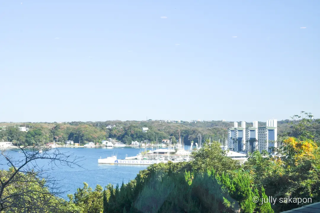 【さかぽんの冒険】三崎マグロきっぷ❤️海の画像_7