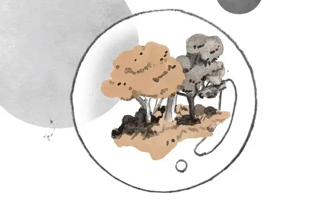 50代の私たちがこの先、社会に残せるものの画像_2