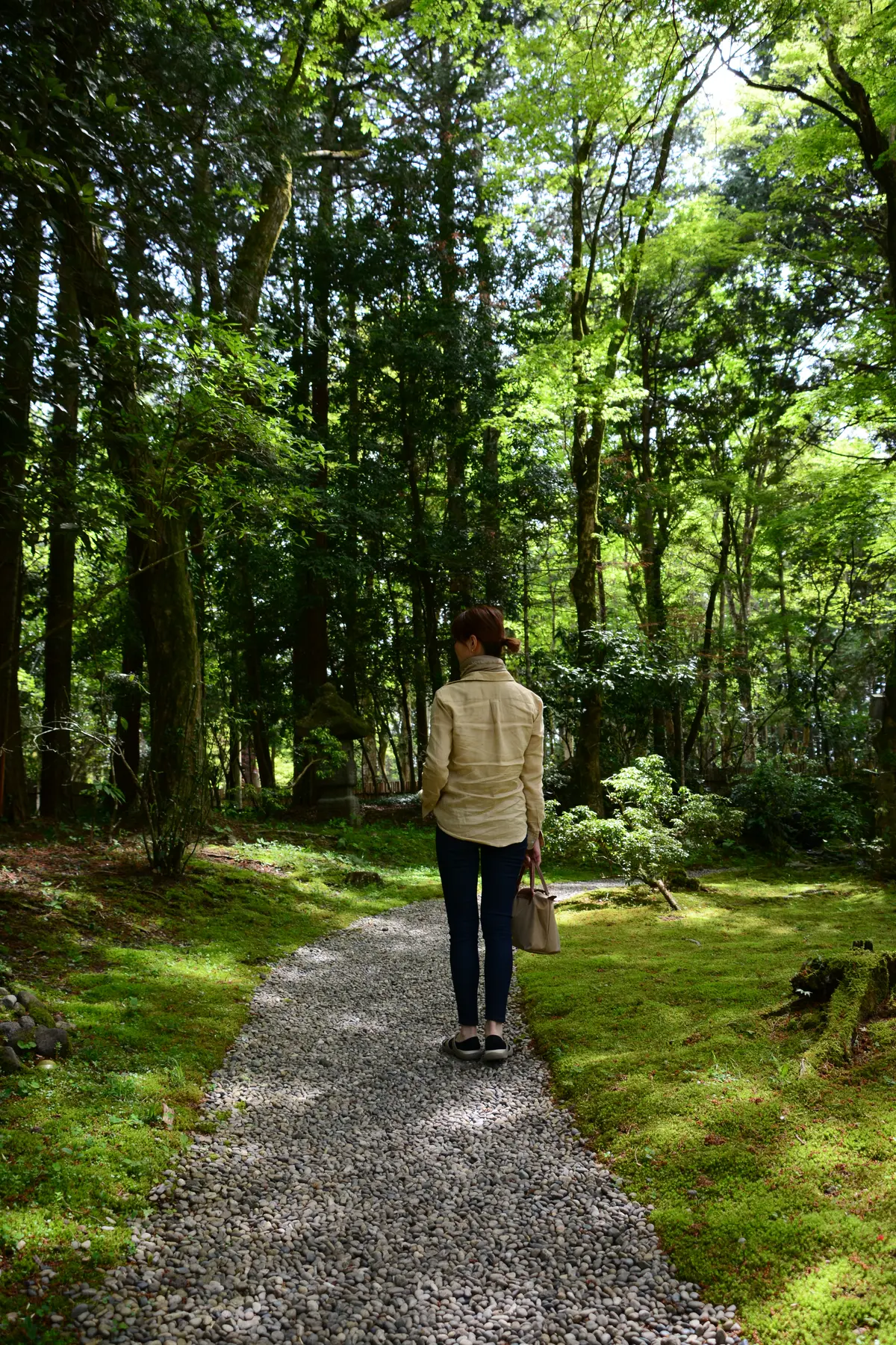 御殿場東山の旧岸邸への画像_16