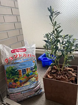 大きめのバークチップも購入