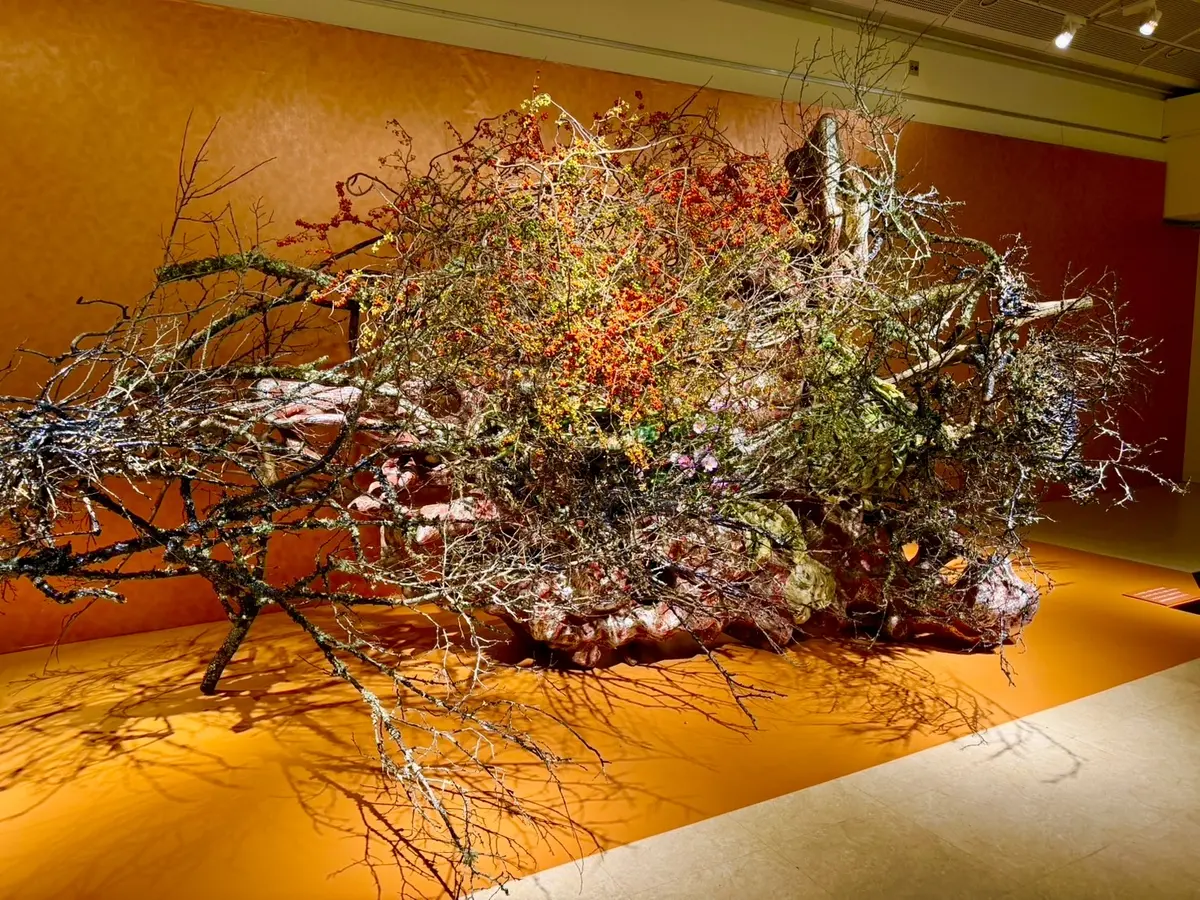 ZARAのワンピースで芸術の秋を満喫！「の画像_13