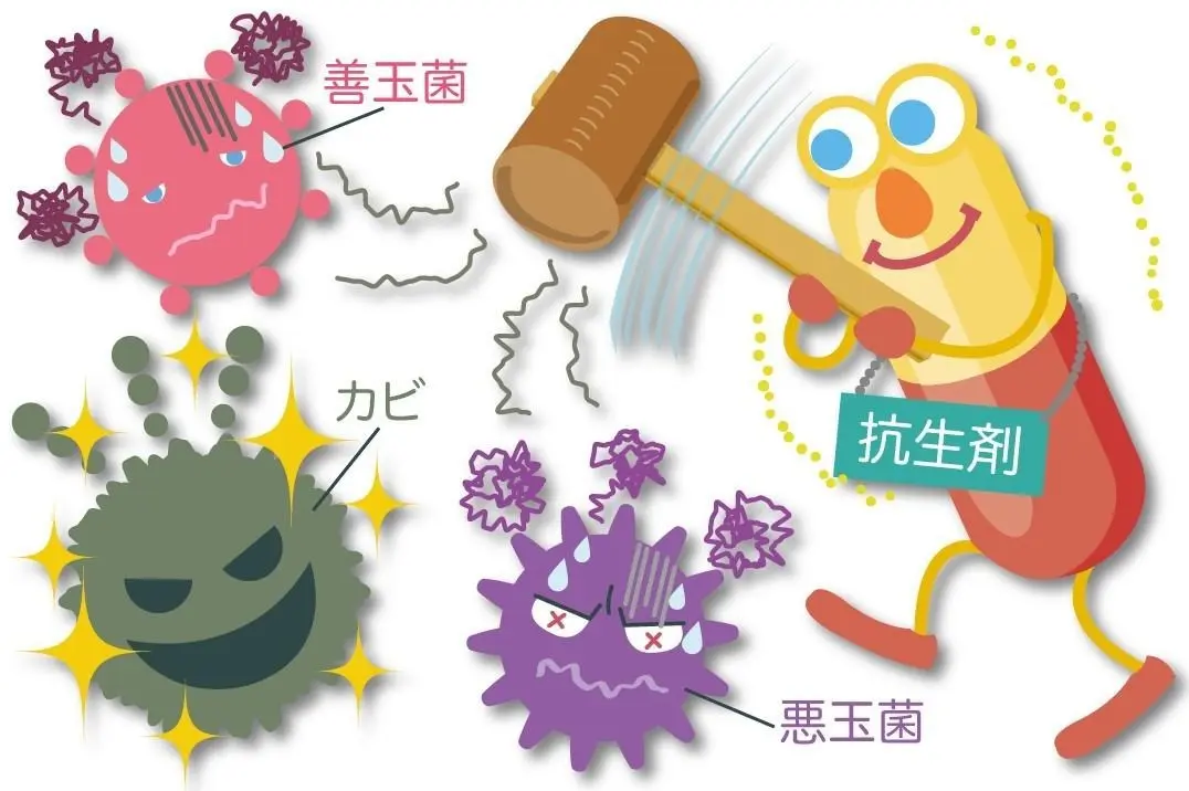 OurAge×Webエクラ