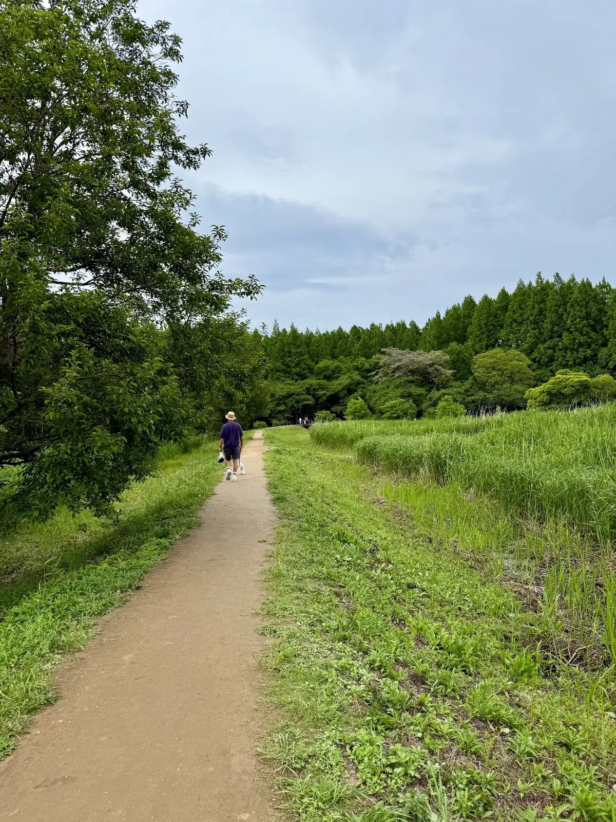 都立水元公園内