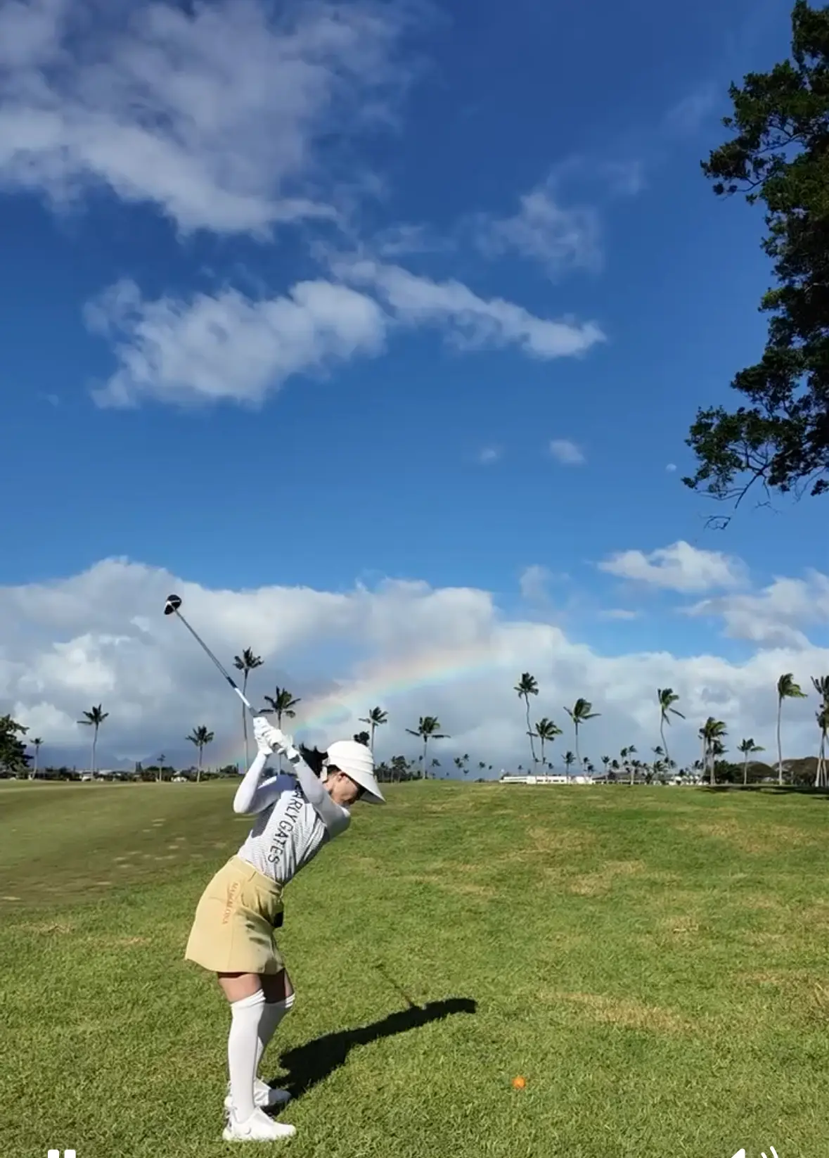 ハワイでのアクティビティの画像_9