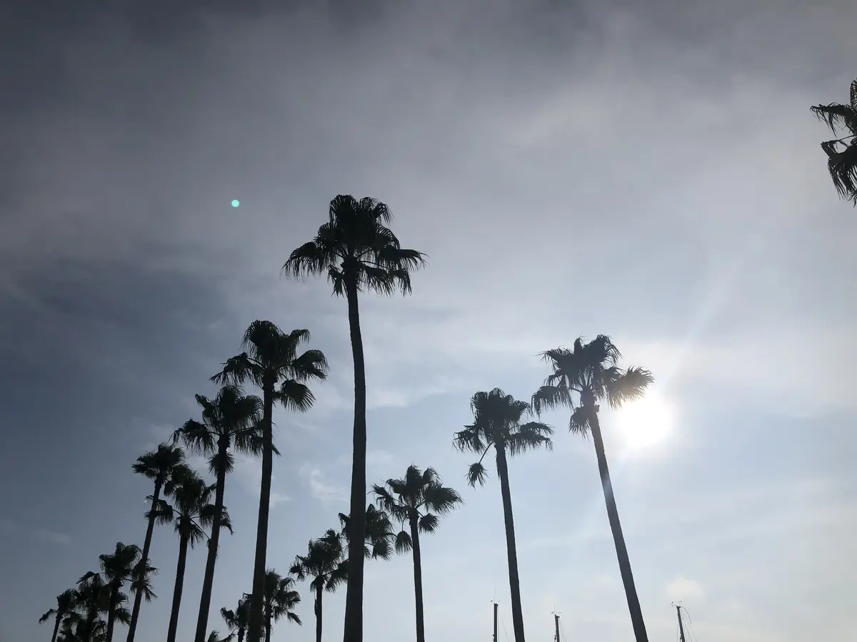 マリブファーム@逗子マリーナへの画像_2