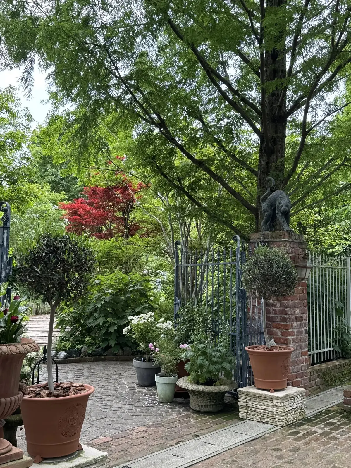 イングリッシュガーデン"風"じゃない！！滋賀県 ローザンベリー