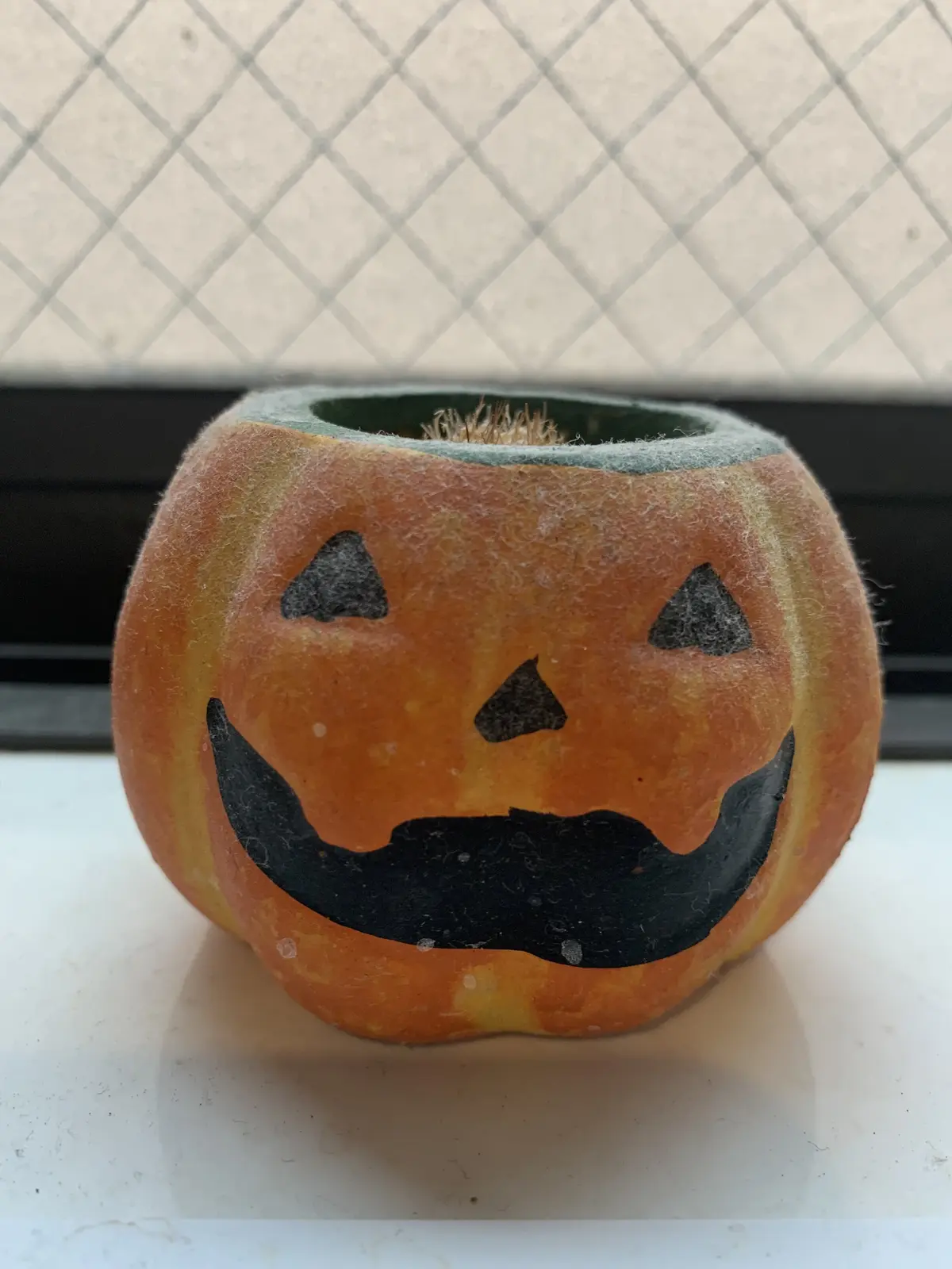 もうすぐハロウィン🎃の画像_1