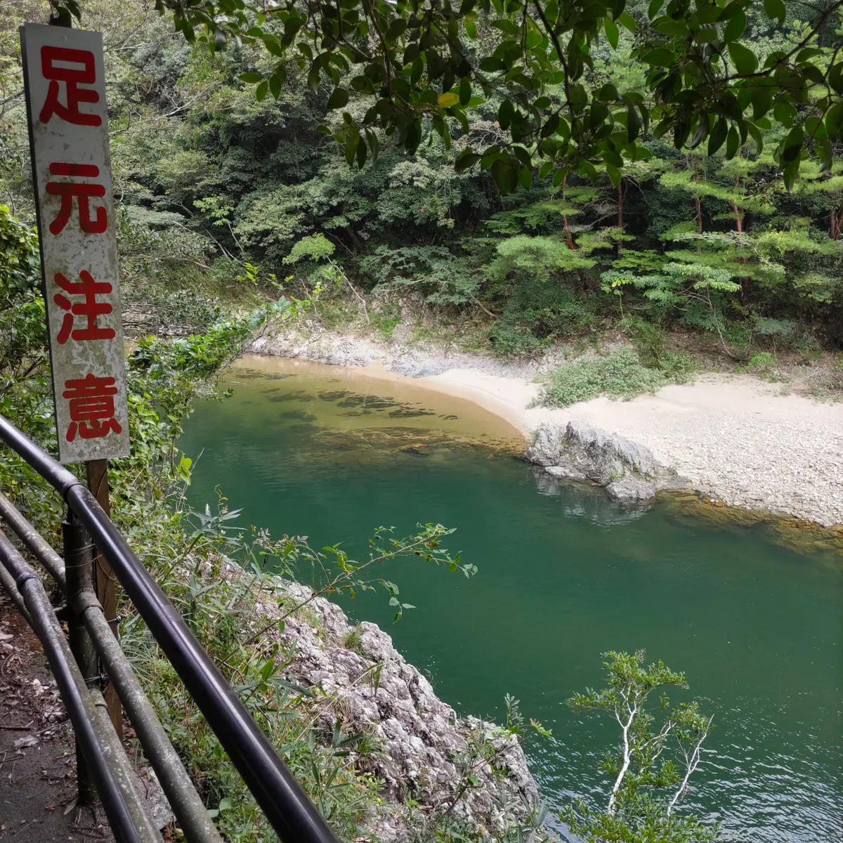 『二十世紀梨』の画像_2