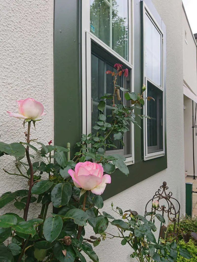 理想のテラスとガーデンを目指して・・・の画像_9