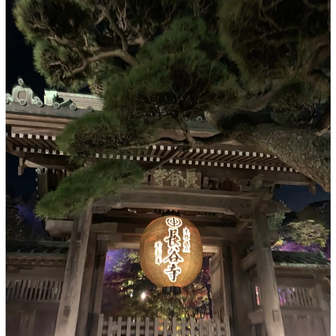 長谷寺散策〜幻想的なlight upの画像_2