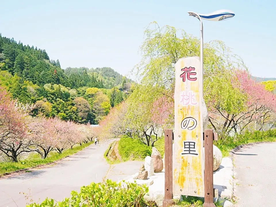 大自然に佇む山のベーカリーとハナモモの名の画像_1