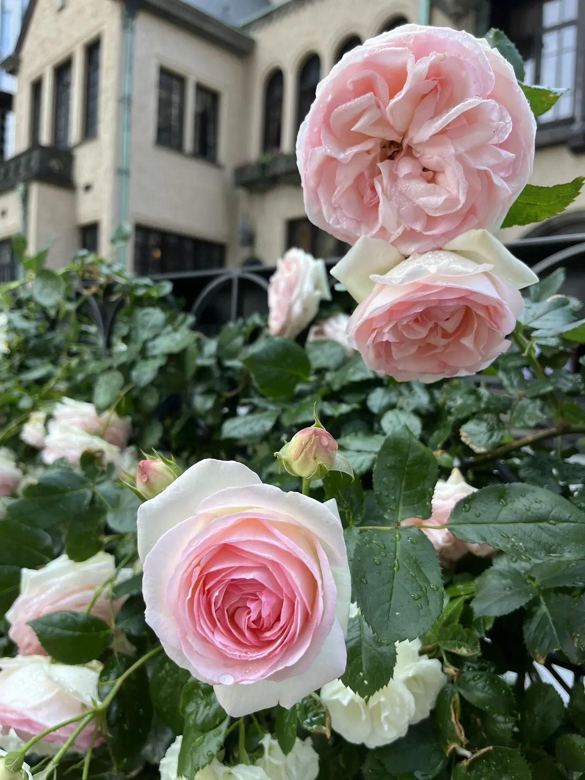 1人時間を楽しむ。銀座＆紀尾井町編その②の画像_6