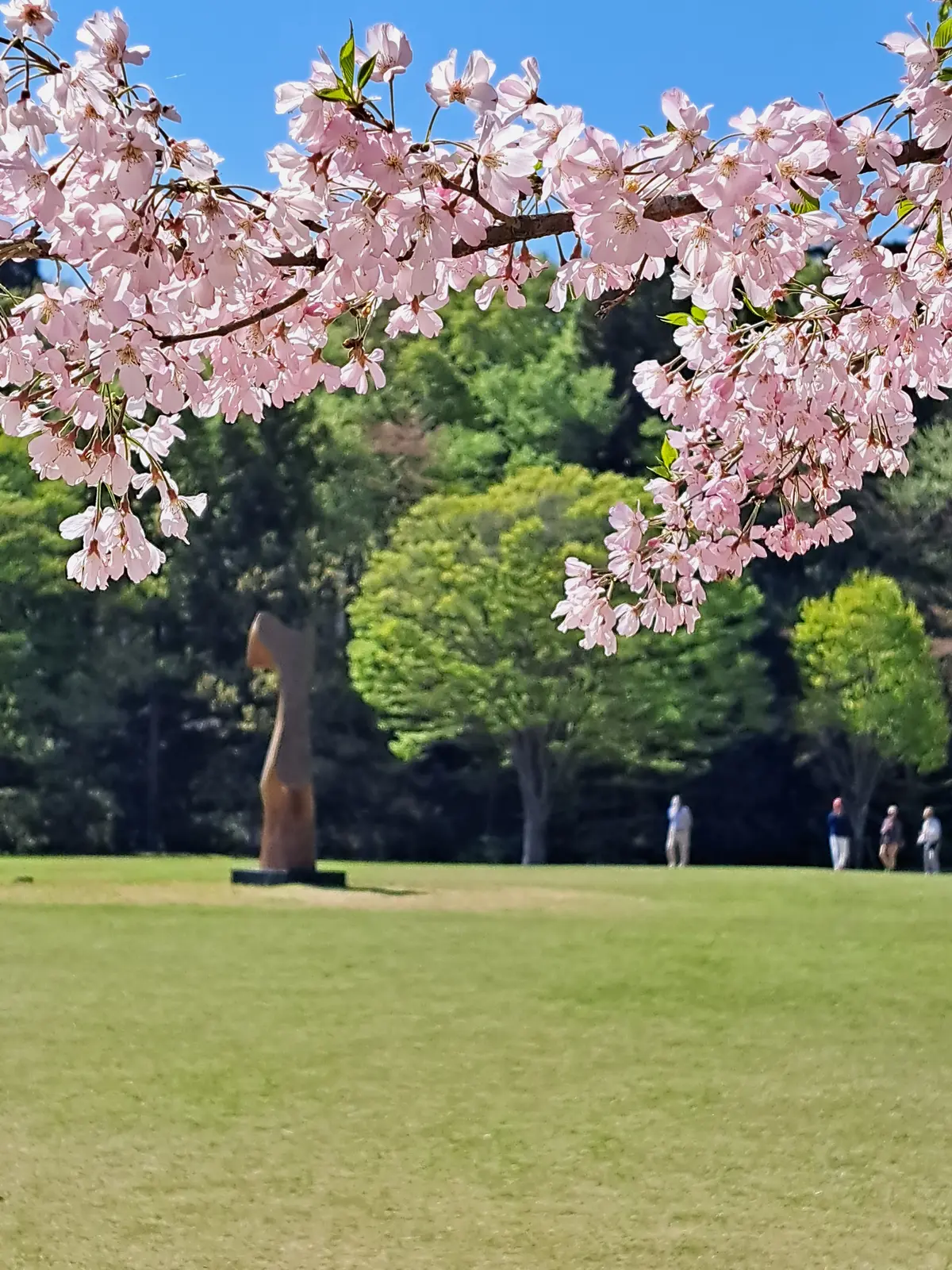 私にとって唯一無二の場所 DIC川村記念の画像_20