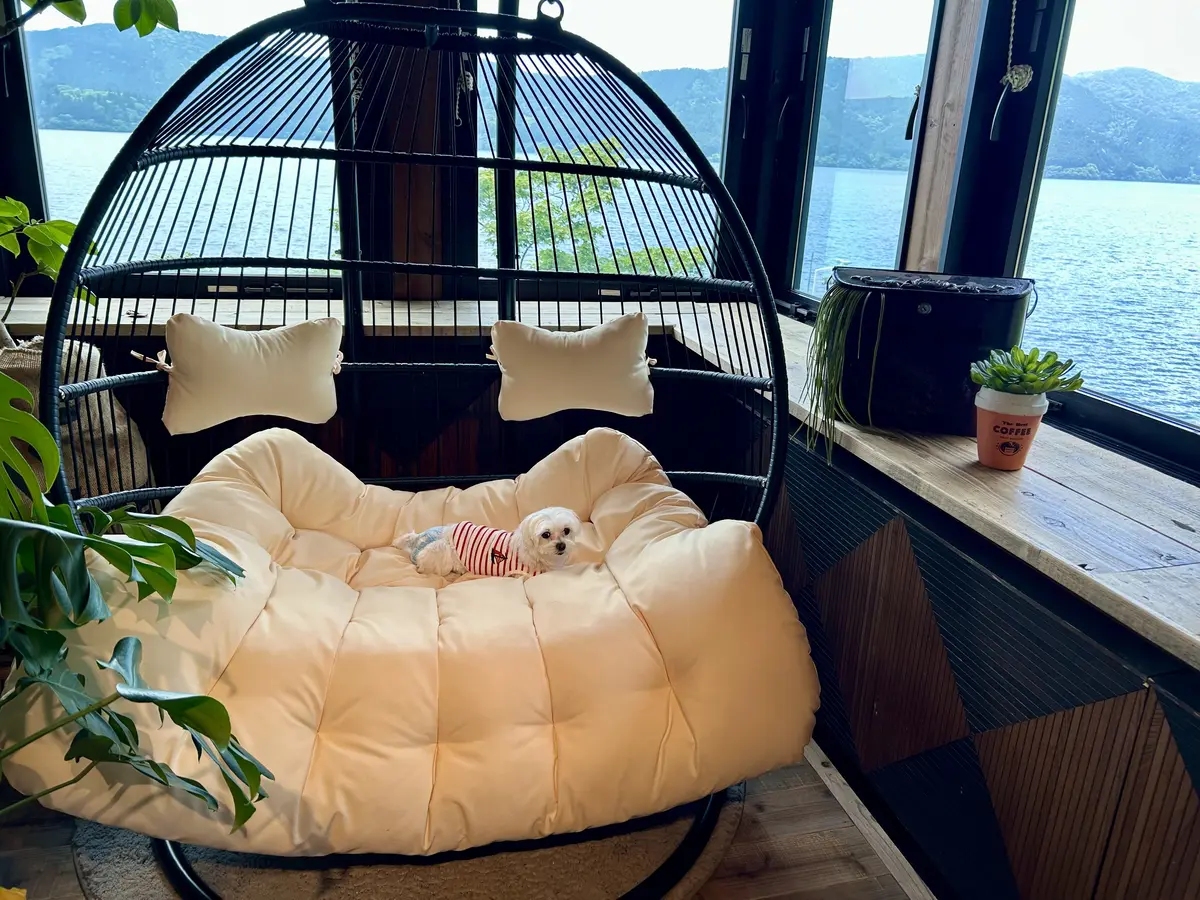 生まれ変わった山のホテル別館へ♪の画像_9