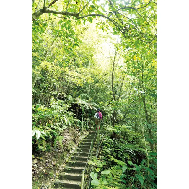 やんばるホテル南溟森室