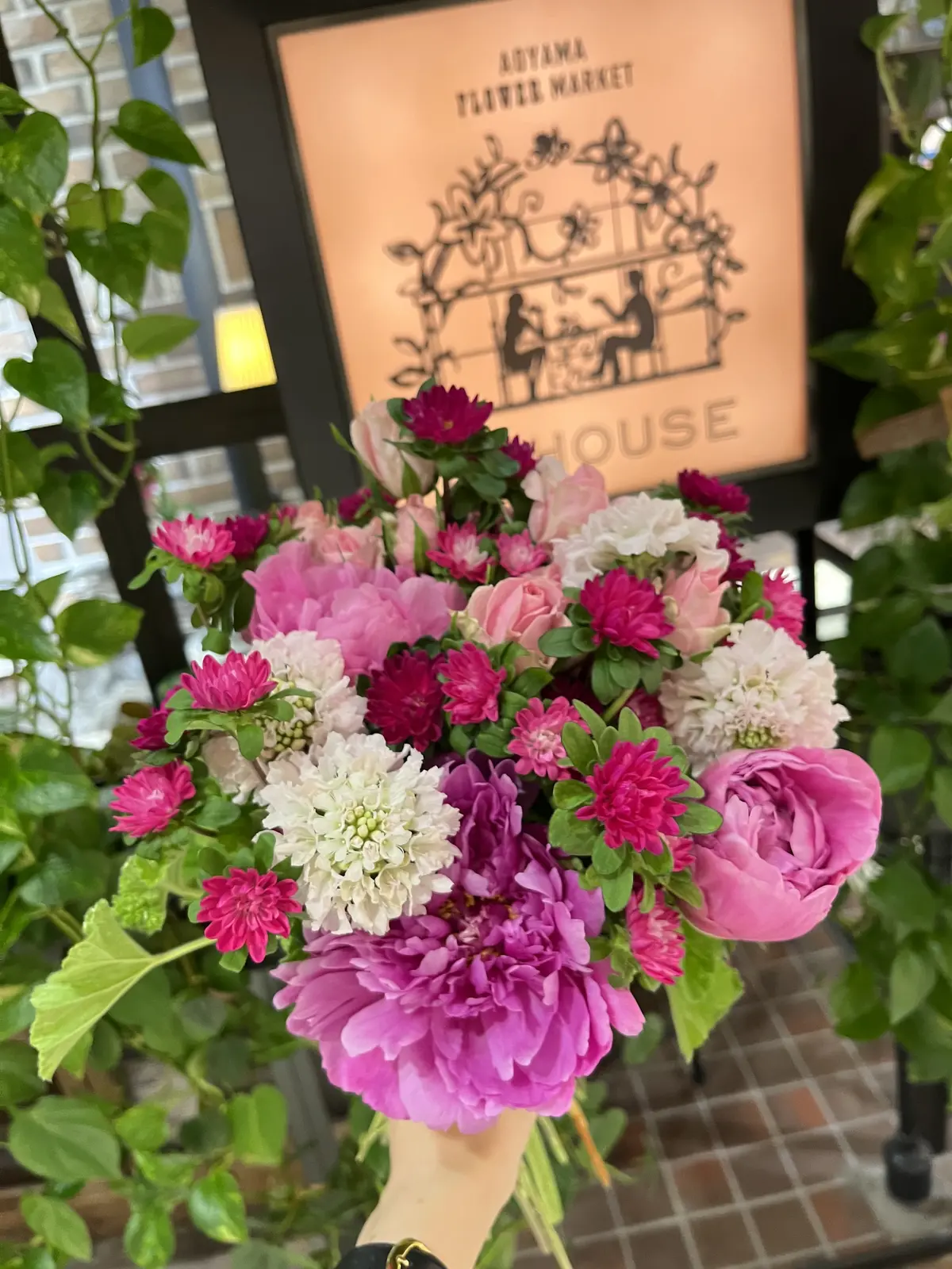 今が旬と言えばの画像_7