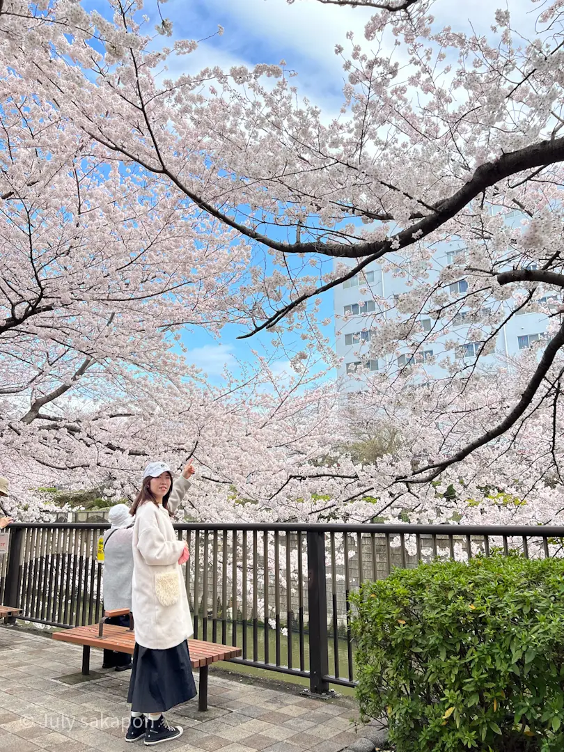 【さかぽんの冒険】AirPods Proの画像_5