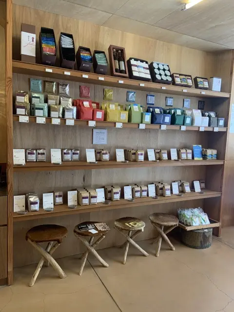 広島でもOBSCURA COFFEEの画像_2