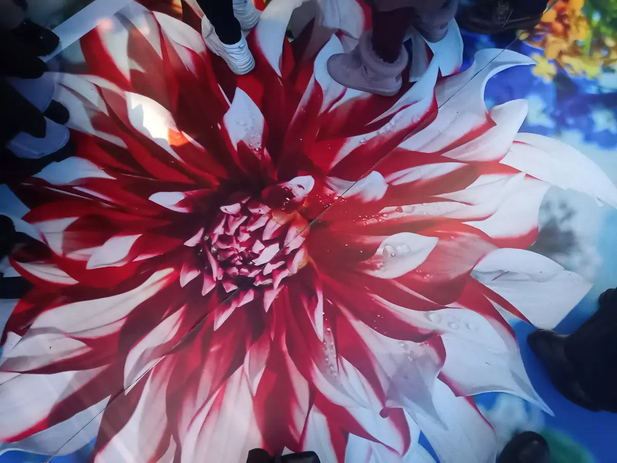 異空間体験⭐︎蜷川実花展に行きました⭐︎の画像_5