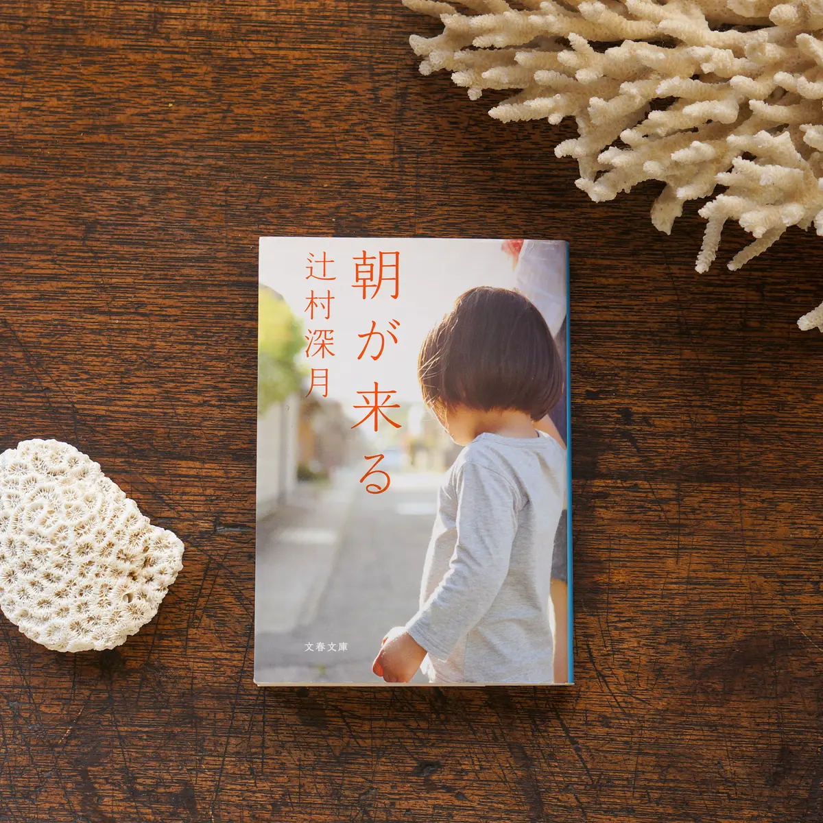 おこもり読書おすすめ3選の画像_3