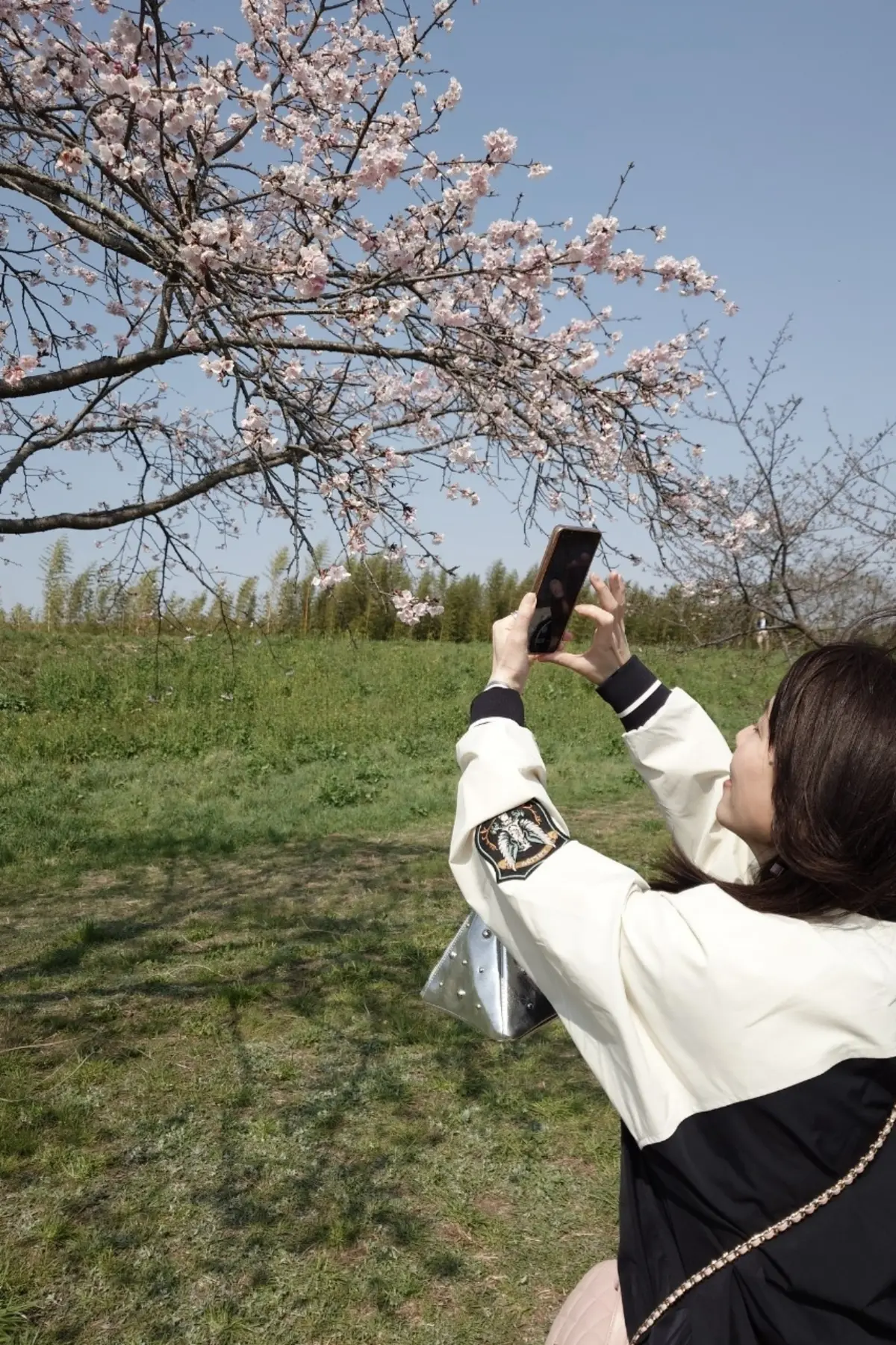 北浅羽桜堤公園