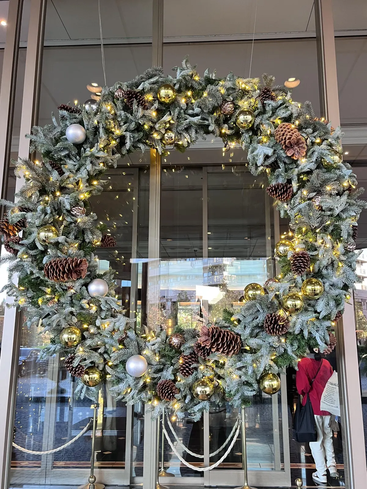 恵比寿でキラキラツリー観賞・夜はLiveの画像_6