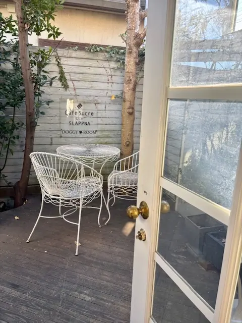 ワンちゃんとくつろげる北欧風カフェへの画像_4