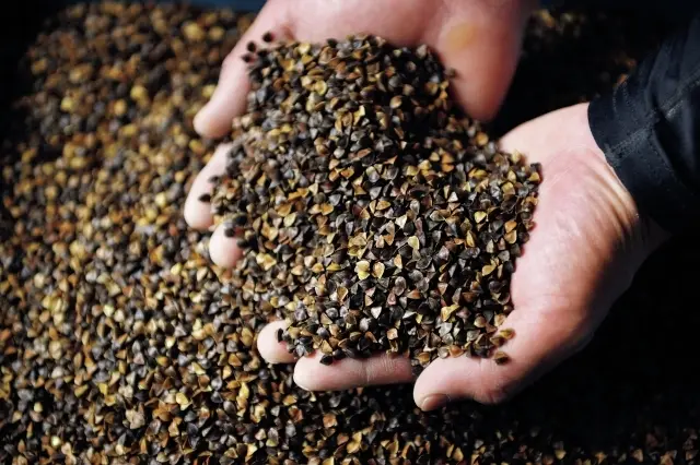 在来種由来のぼたんそばは、香り、甘味が強い。