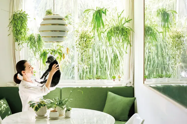 植物のお世話をするのは週に1度。日曜日の午前中