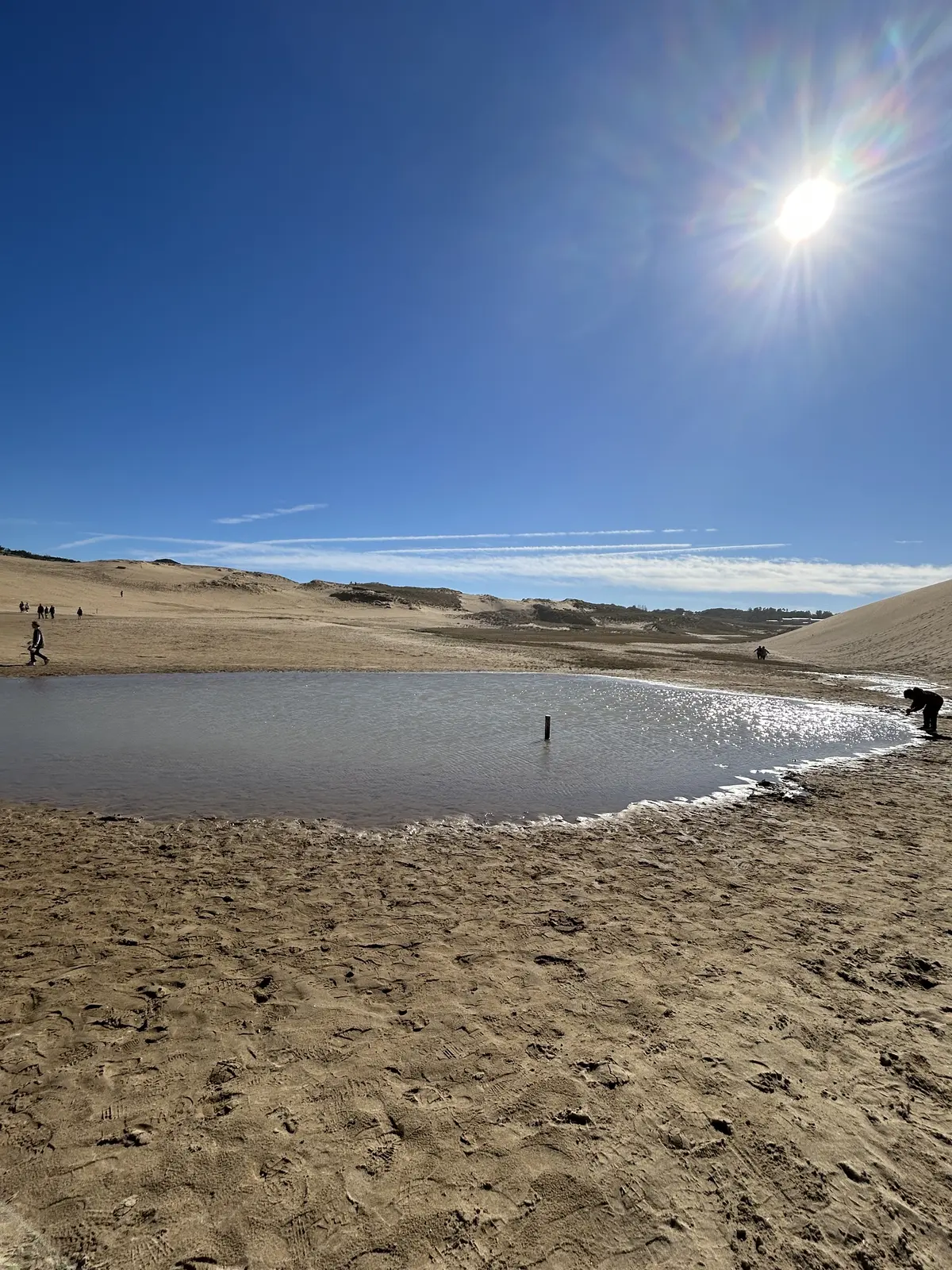秋の遠足 -11月の鳥取でリフレッシュの画像_6