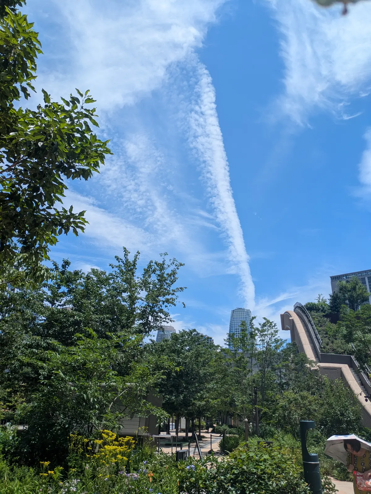 カジュアルを格上げ！レアな柄の【LEONの画像_1