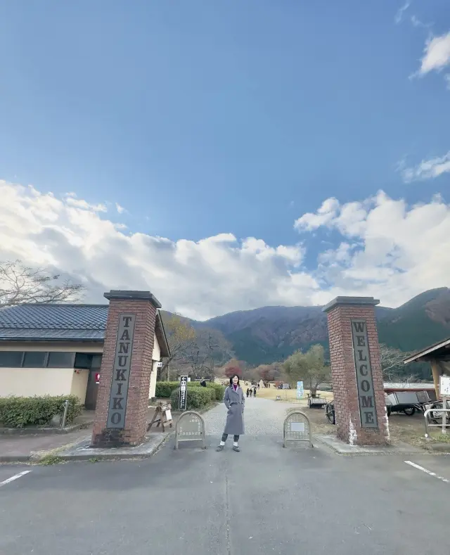 富士山本宮浅間大社 × ユニクロのジョガの画像_7