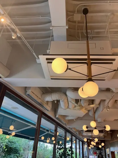 渋谷ランチからの念願のカフェへの画像_7