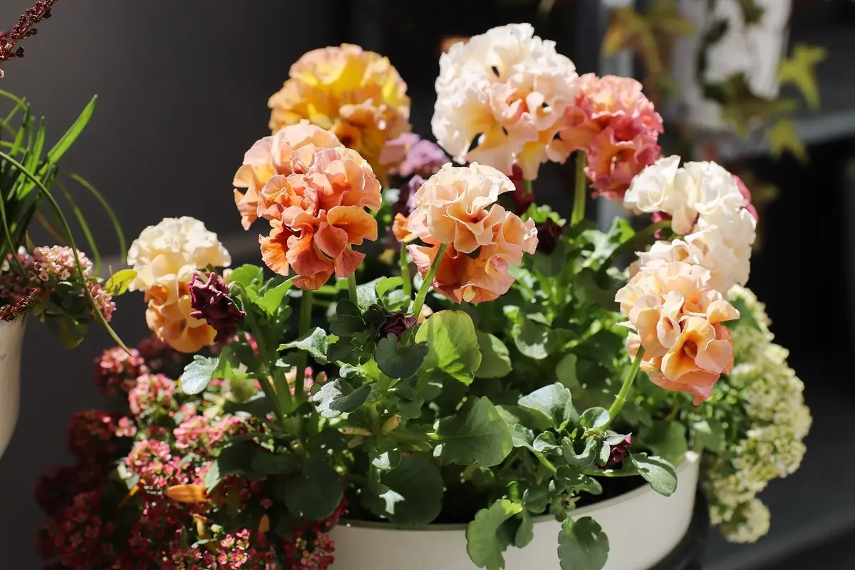 【東京・京都 二拠点暮らし】長旅や長期不の画像_1