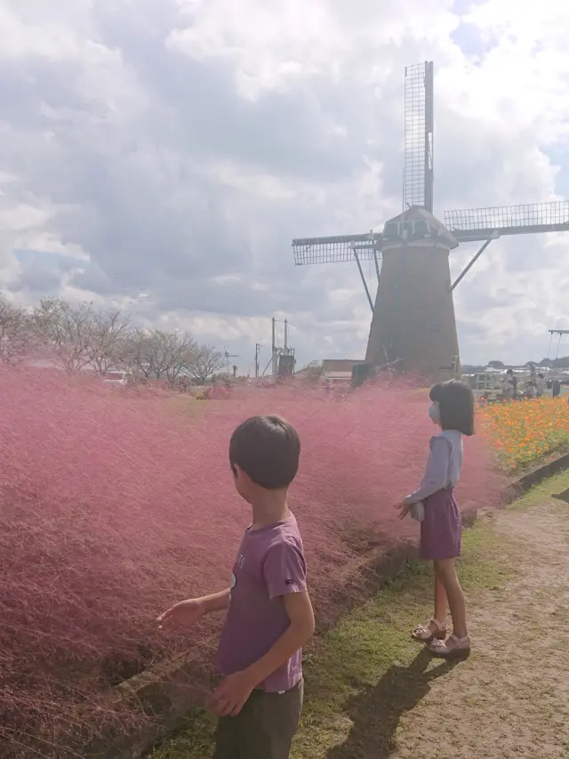 風車とコスモスとパープルスカートのコーデの画像_6