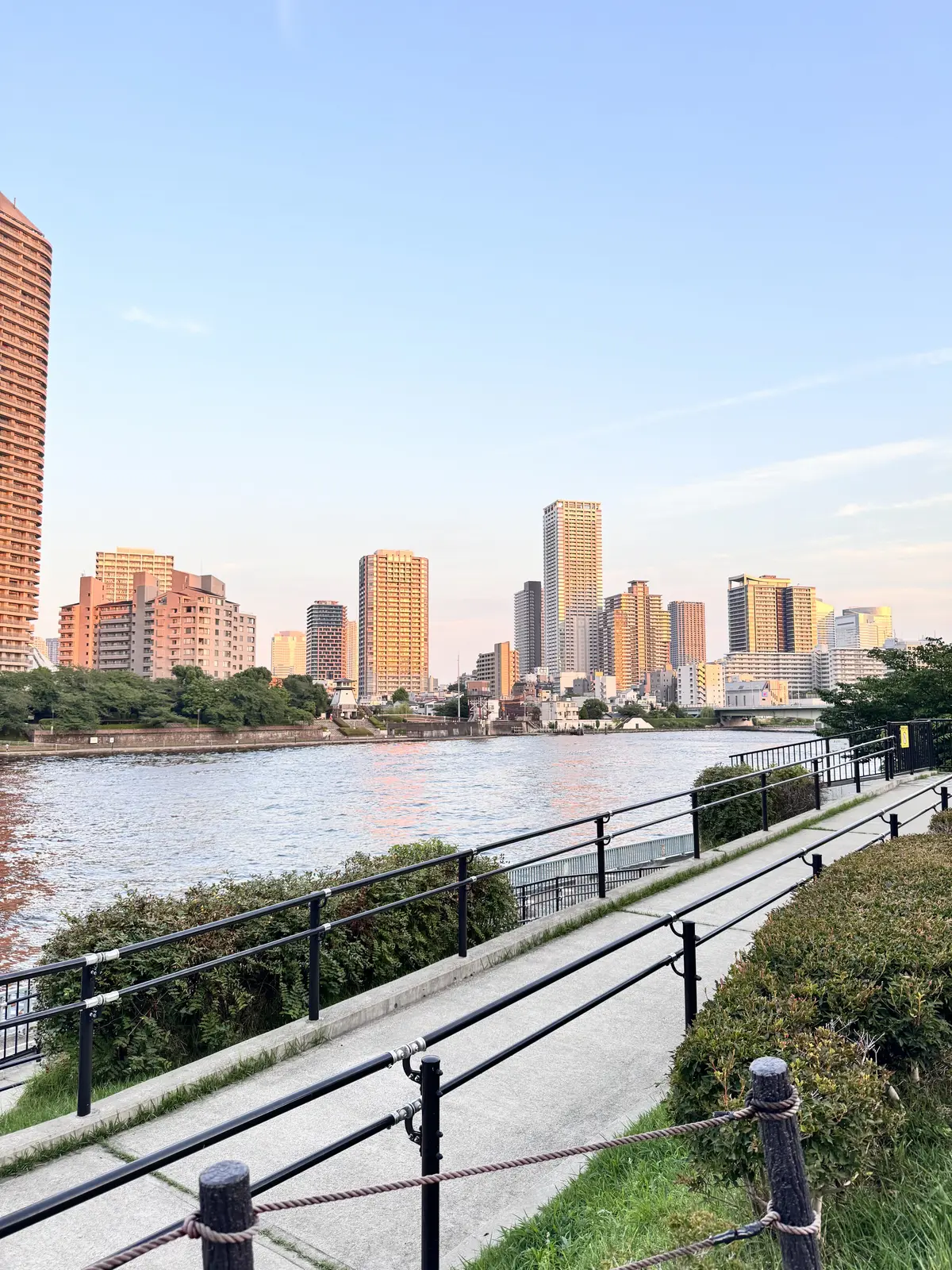 休日リラックスはユニクロブラトップの画像_5