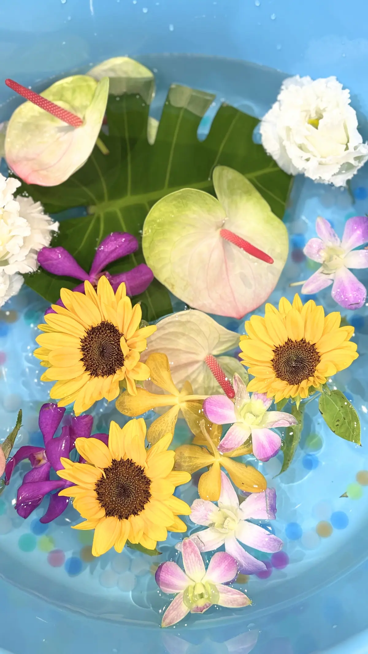 花屋さん　花手水　夏のお花　ひまわり　