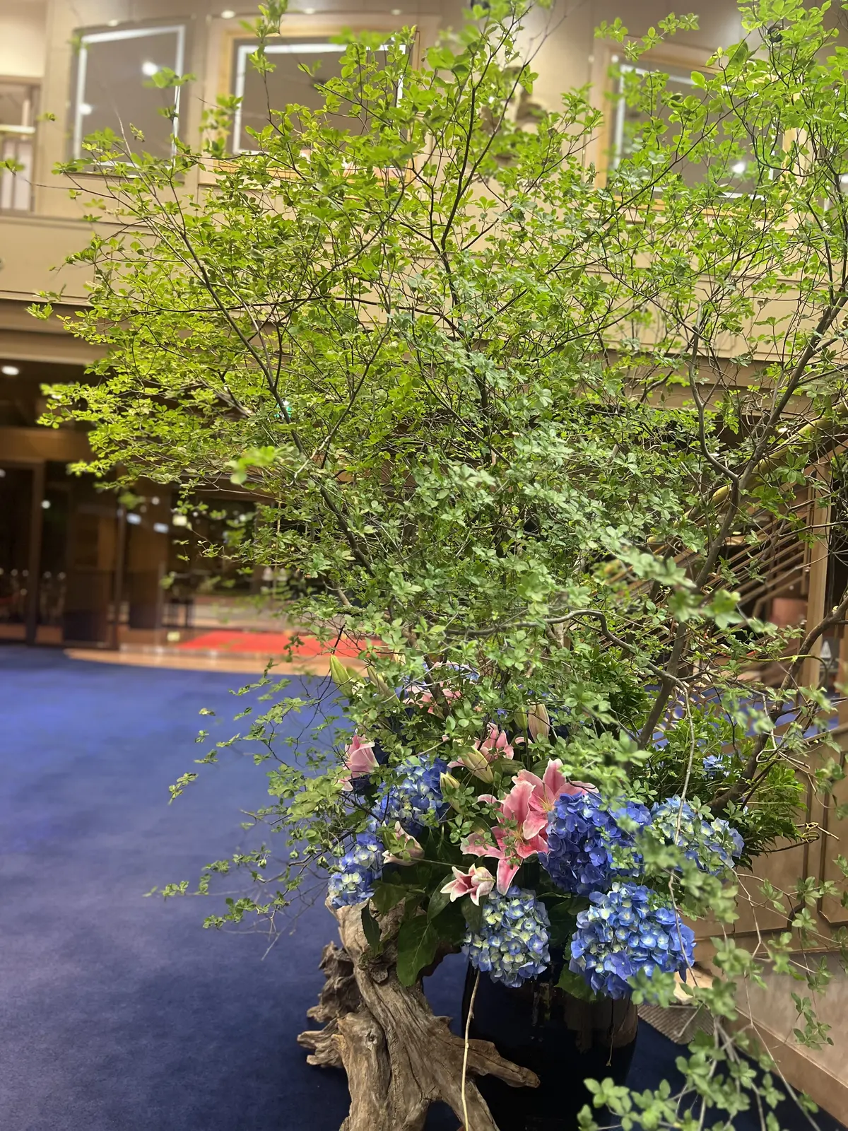 50代,40代「夏のカラーファッション」の画像_5