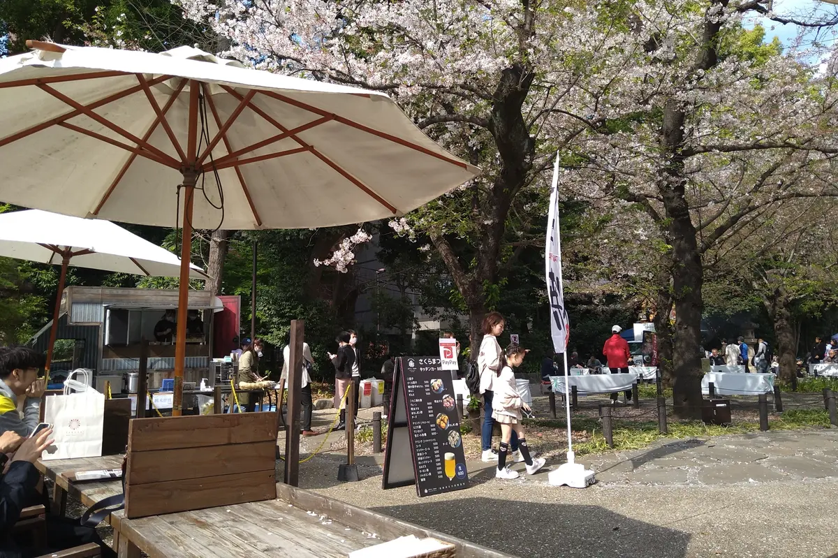 美味しい食事と散りゆく桜と　〜VMGカフの画像_15