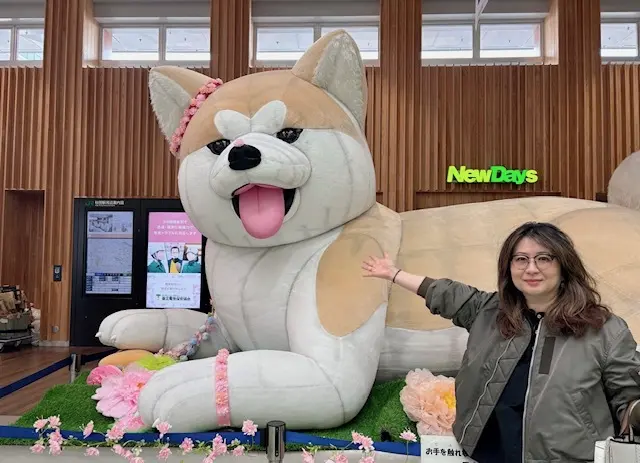 国内旅行　秋田　秋田旅行　角館　大曲　秋田犬　花火大会　武家屋敷　秋田土産　秋田銘菓　  比内地鶏　羽田空港　秋田空港　日本酒　地酒　地ビール  桜　花見 もろこし　日本三大花火　秋田駅