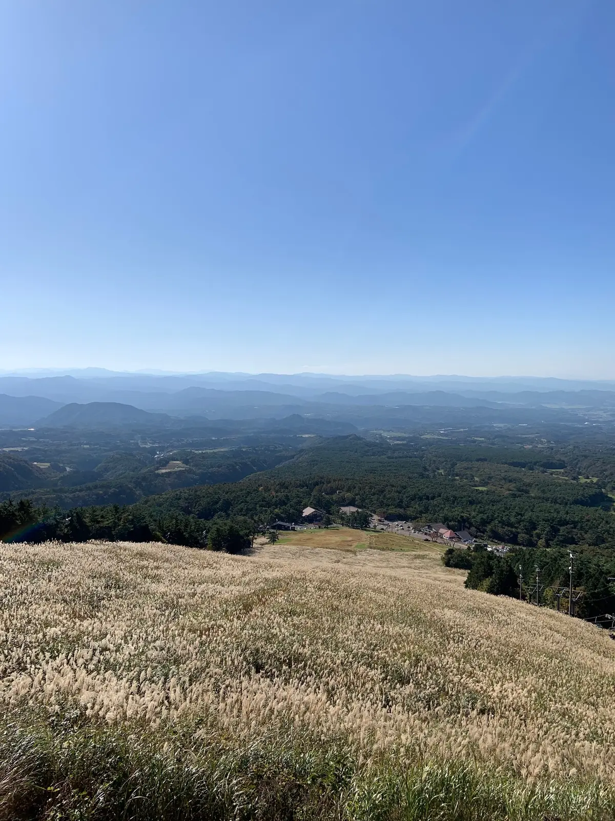 秋の行楽　大山ハイキングへの画像_6