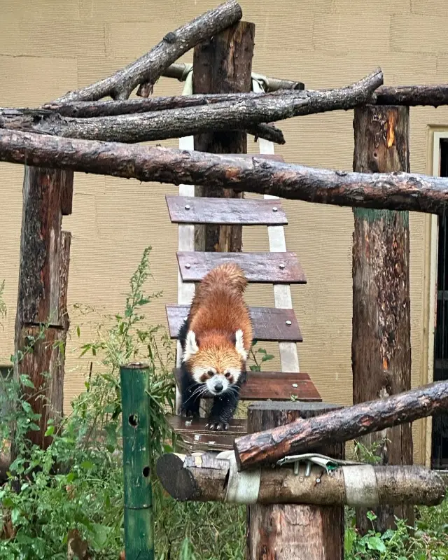 北海道旅行2日目の画像_3